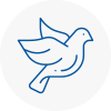 Bird Prevention Hull