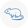 Rat Control Hull